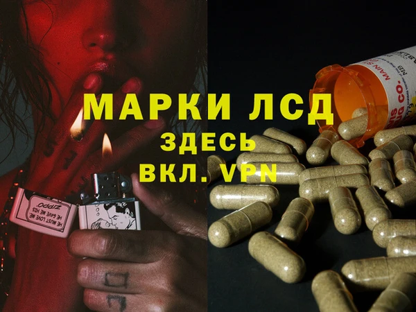 таблы Павловск