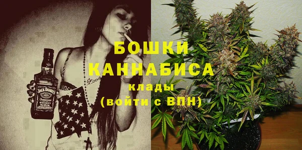 шишки Слюдянка