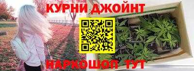PSILOCYBIN Гусиноозёрск