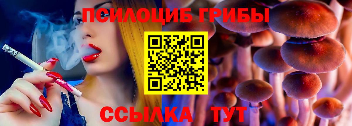 Псилоцибиновые грибы мухоморы  где купить наркоту  Псилоцибиновые грибы MAGIC MUSHROOMS  Феодосия 